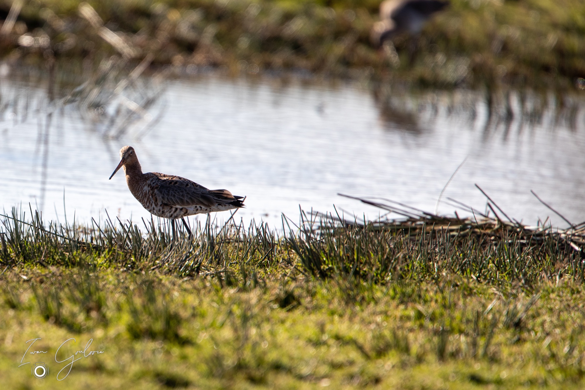 1DX42993 28 februari 2022 1257 24